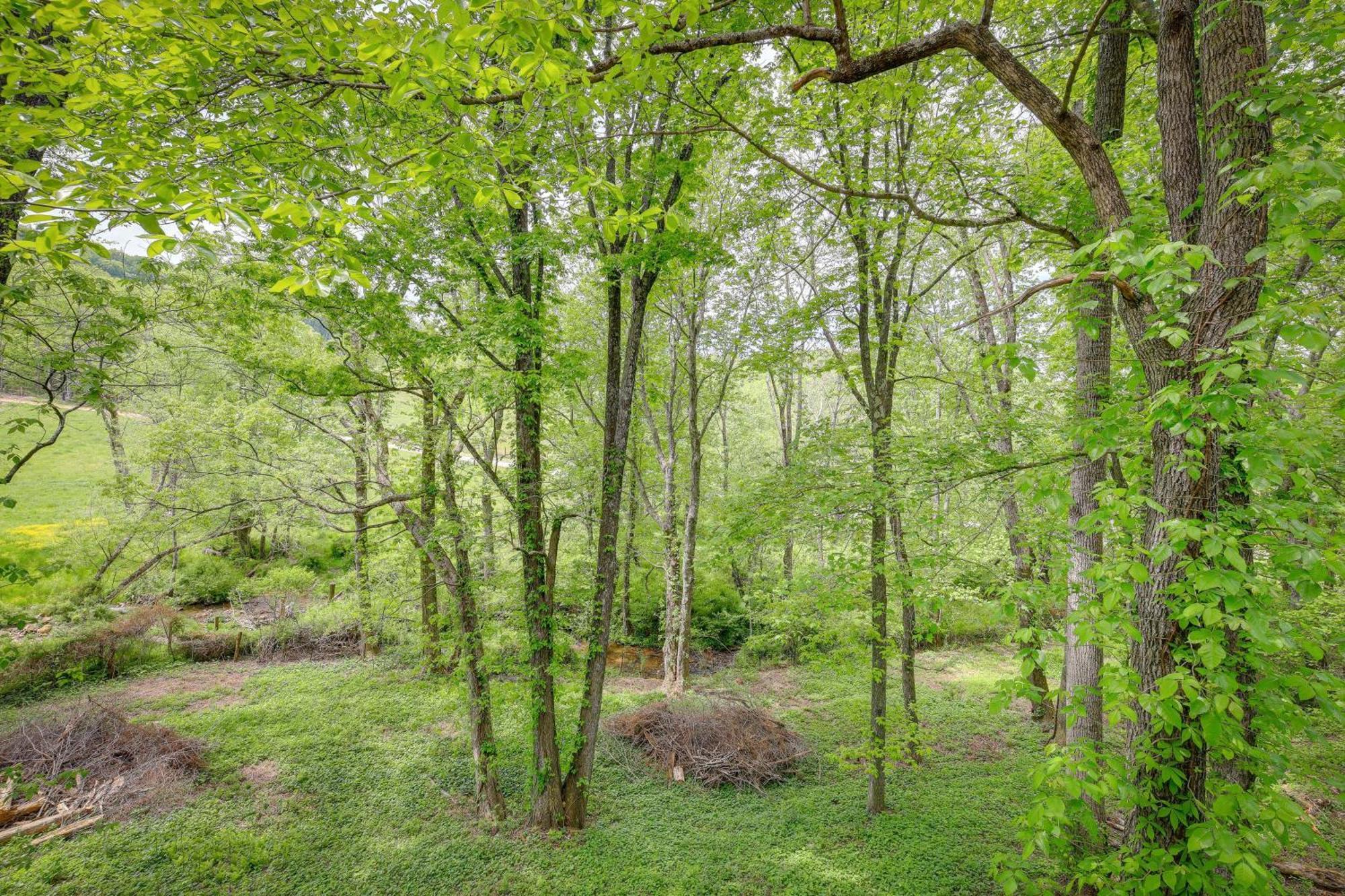 Quaint Blue Ridge Cabin Rental With On-Site Stream! Sparta 외부 사진